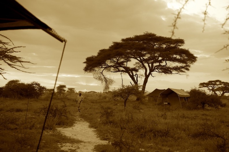 Tanzania - Camp Namiri Plains -