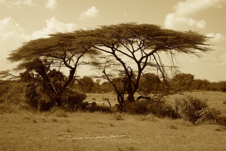 Tanzania - nördliche Serengeti