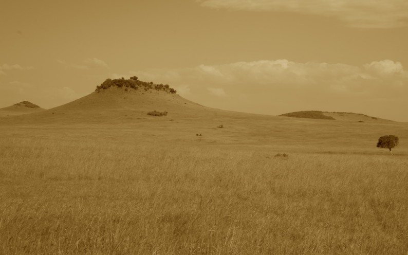 Tanzania - nördliche Serengeti - Turner Hills